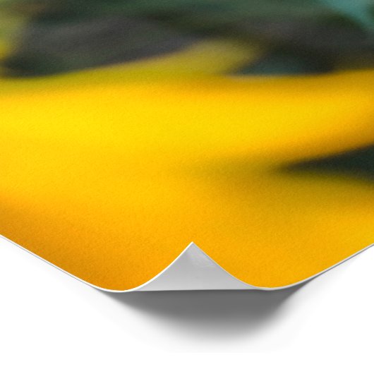 Bei Sonnenblumenfeld stehend Poster (Ecke)