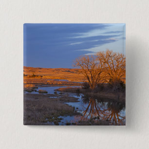 Bei Sonnenuntergang am Calamus River badet Button
