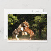 Bei Sonnenuntergang spielen Postkarte (Vorne/Hinten)