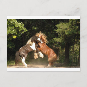 Bei Sonnenuntergang spielen Postkarte