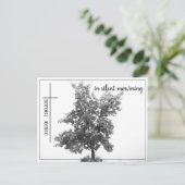 Bei stille Trauer - Baum auf der Wiese 2.0 Postkarte (Stehend Vorderseite)