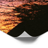Bei Sunset Fotoposter Poster (Ecke)