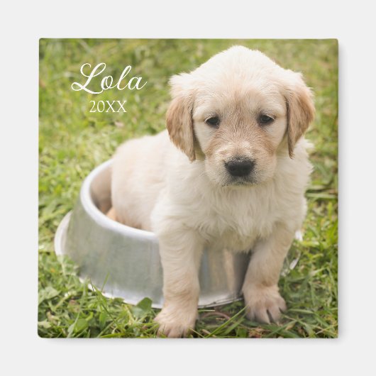 Beibehalten von Magnet mit Foto (Vorne)