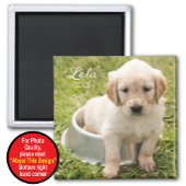 Beibehalten von Magnet mit Foto