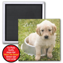 Beibehalten von Magnet mit Foto