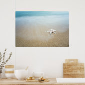 Beidaihe Seascape Poster (Küche)