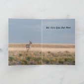 Beide Enden der Humorvollen Buffalo-Karte Karte (Innenseite)