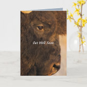 Beide Enden der Humorvollen Buffalo-Karte Karte (Gelbe Blume)