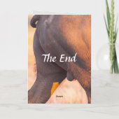 Beide Ends der Buffalo 2 Humor Card Karte (Rückseite)