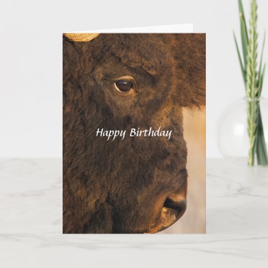 Beide Ends der Buffalo 2 Humor Card Karte (Vorderseite)