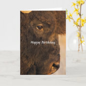 Beide Ends der Buffalo 2 Humor Card Karte (Gelbe Blume)