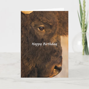 Beide Ends der Buffalo 2 Humor Card Karte