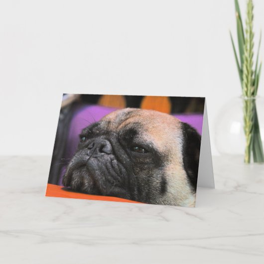 Beifall-oben! Mops-Gruß-Karte Karte (Vorderseite)