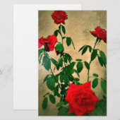 Beifall, Rose der Liebe_ Briefpapier (Vorne/Hinten)