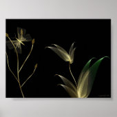 Beige auf schwarz poster (Vorne)