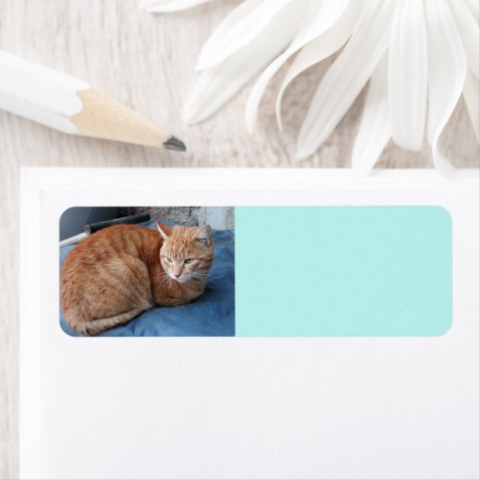 Beige Cat Address-Label (Insitu)