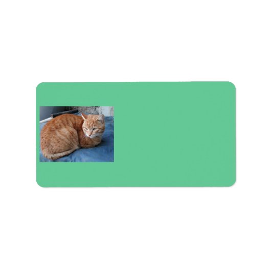 Beige Cat Address-Label Adressaufkleber (Vorne)