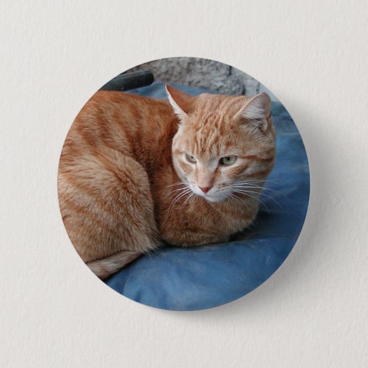 Beige Cat Button (Vorderseite)