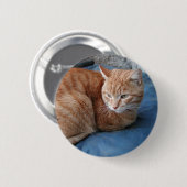 Beige Cat Button (Vorne & Hinten)