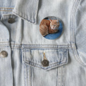 Beige Cat Button (Beispiel)