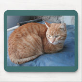 Beige Cat Mousepad (Vorne)