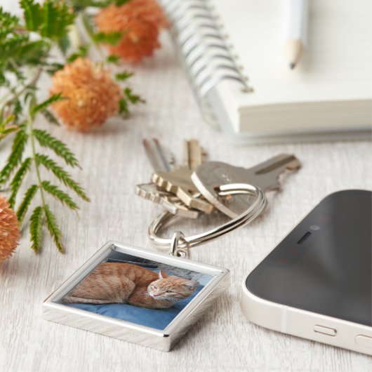 Beige Cat Schlüsselanhänger (Seite)