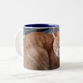 Beige Cat Zweifarbige Tasse (Vorderseite Links)