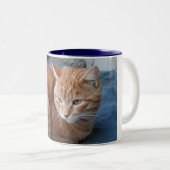 Beige Cat Zweifarbige Tasse (VorderseiteRechts)