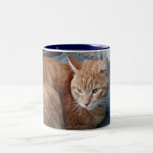 Beige Cat Zweifarbige Tasse