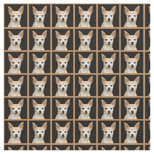 Beige gemalte Chihuahua auf schwarzem Hintergrund Stoff (Nahaufnahme)