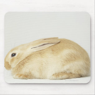 Beige Hasen auf weißem Grund 4 Mousepad