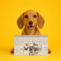 Beige Hundeshow-Handler reinrassig