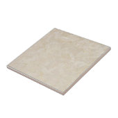 Beige Imitat-Marmorfliese Fliese (Seite)