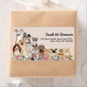 Beige Katzen Hunde Haustiere Haustiere (Insitu)