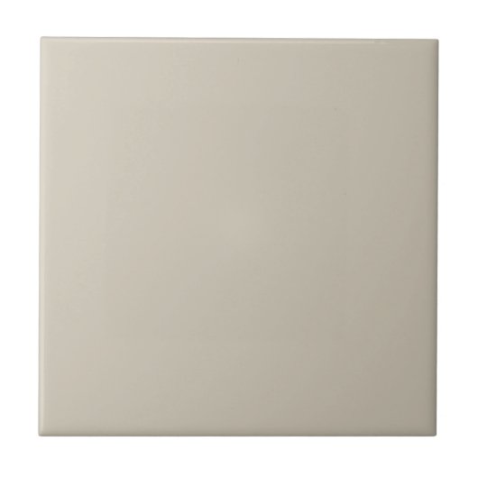 Beige Küche und Badezimmer Fliese (Vorderseite)