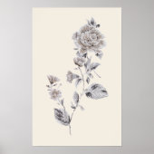 Beige Rose Poster (Vorne)