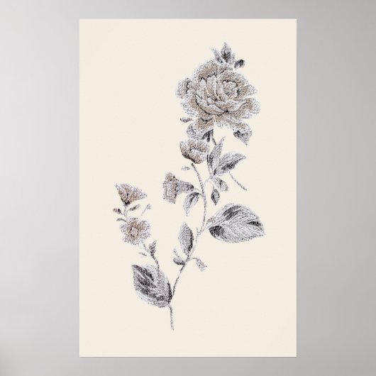 Beige Rose Poster (Vorne)