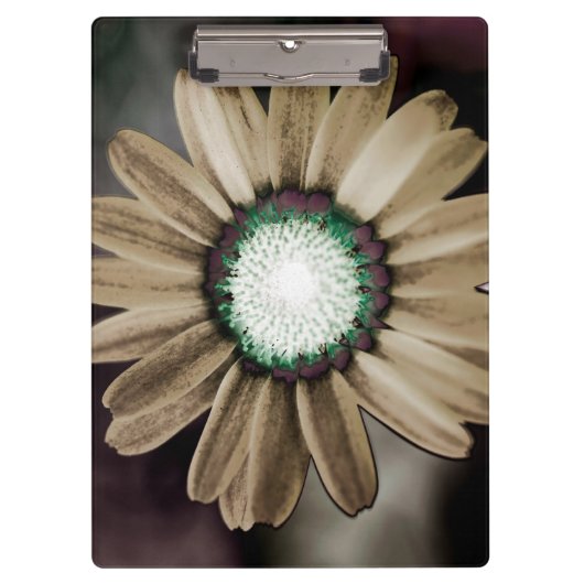 Beige Rustic Daisy Clipboard Klemmbrett (Vorderseite)