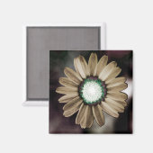 Beige Rustic Daisy Magnet (Vorderseite/Rückseite)