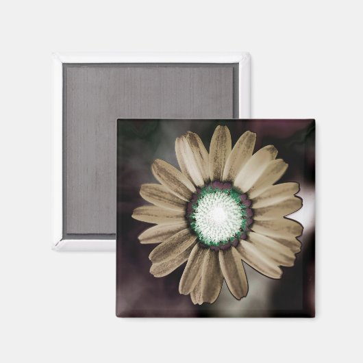 Beige Rustic Daisy Magnet (Vorderseite/Rückseite)