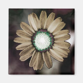 Beige Rustic Daisy Magnet (Vorne)
