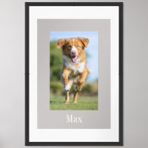 Beige weiße Haustiere Gerahmte Kunst