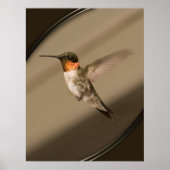 Beija Flor Poster (Vorne)