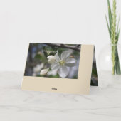 Beileid Apple Blossom Card Dankeskarte (Rückseite)