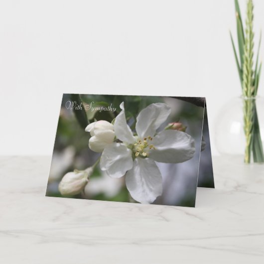 Beileid Apple Blossom Card Dankeskarte (Vorderseite)