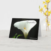 Beileid - Calla Lily Card Karte (Gelbe Blume)