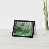 Beileid Dankeschön Karte — Wald (Vorderseite)