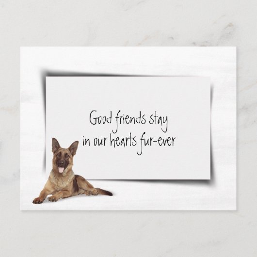 Beileid der Hirten Postkarte (Vorderseite)