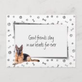 Beileid der Hirten Postkarte (Vorderseite)