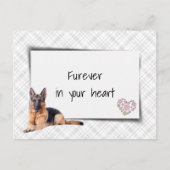 Beileid der Hirten Postkarte (Vorderseite)